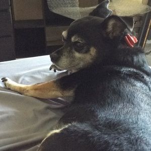 Meet your Posher, Daniel